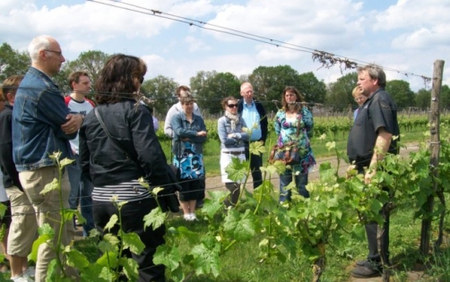 Wijnproeven met een excursie doe je vlakbij Minicamping de Kei in Lichtenvoorde bij Winterwijk en Aalten