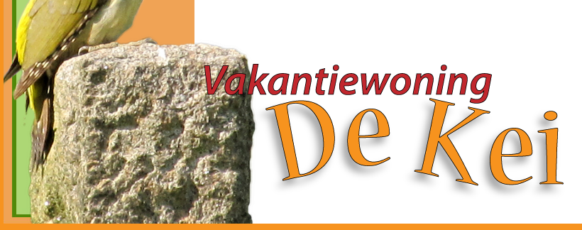 mooi vakantiehuis in de Achterhoek